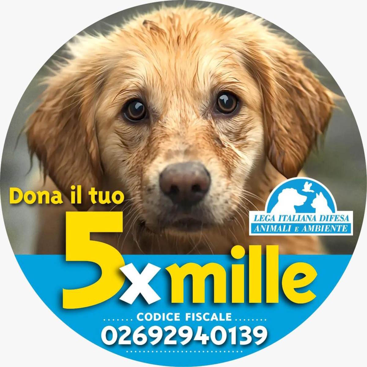Dichiara guerra all'indifferenza, dona il 5 per mille alla Lega Italiana per la Difesa degli Animali