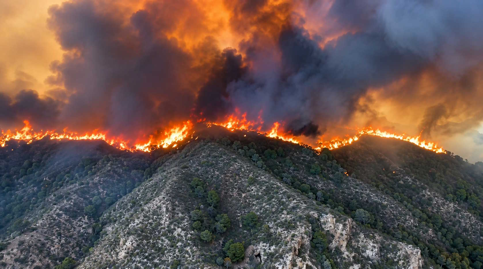 Spagna, incendio di Los Gallardos, è una tragedia senza precedenti: almeno 11 morti, si teme una dodicesima vittima. Indagini sul possibile ruolo di un cavo elettrico
