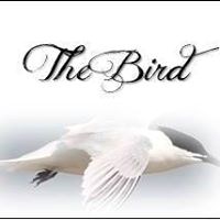 thebirdnews